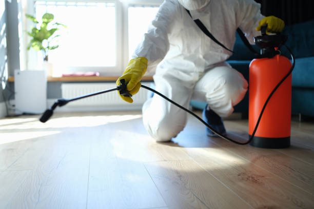 Affordable Infectious Disease Decontamination solutions in Hood, CA